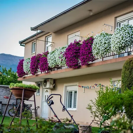 Nikola * トレビニエ