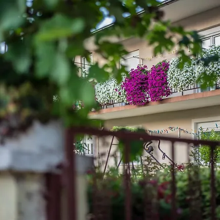 Nikola 아파트 트레빈예