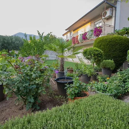 아파트 Nikola 트레빈예